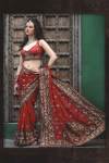 Indian Saree Fashion