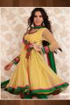 Yellow and Green Net Anarkali Style Salwar Kameez 2010