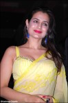 amisha patel in a light yellow saree with sleeveless saree blouse at ritesh genelia reception party